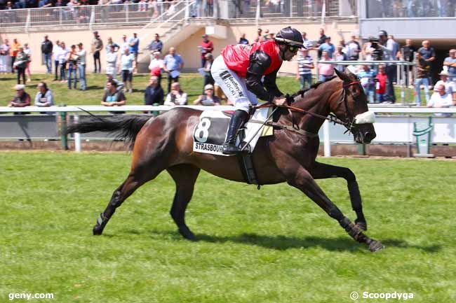 30/05/2022 - Strasbourg - Prix Kleber : Arrivée