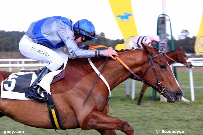 28/02/2023 - Fontainebleau - Prix Capitaine Labonde : Arrivée