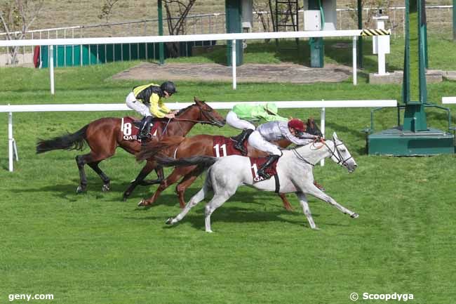 29/09/2023 - Saint-Cloud - Qatar Arabian Trophy des Poulains : Ankunft