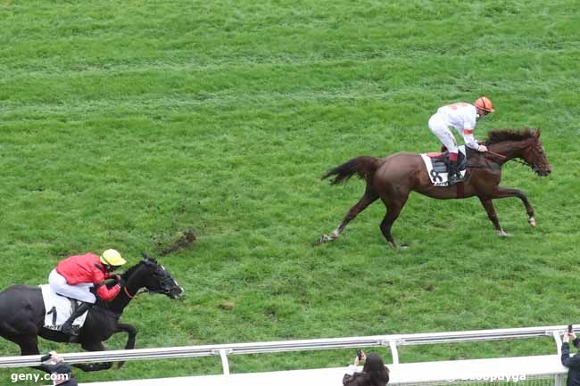 17/03/2024 - Auteuil - Prix Rush : Arrivée