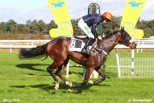 14/10/2024 - Fontainebleau - Prix André Parot : Arrivée