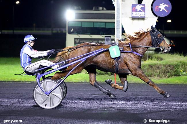 04/11/2024 - Vincennes - Prix Aurora : Arrivée