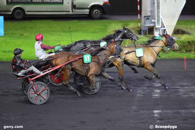 25/11/2024 - Vincennes - Prix de Cerisy : Arrivée