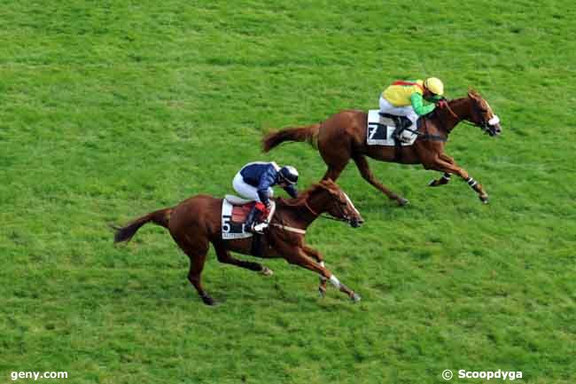 24/09/2008 - Auteuil - Prix Pierre et Jean-Marie Mercier : Arrivée