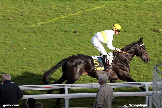 15/11/2010 - Compiègne - Prix de Bourfontaine : Arrivée