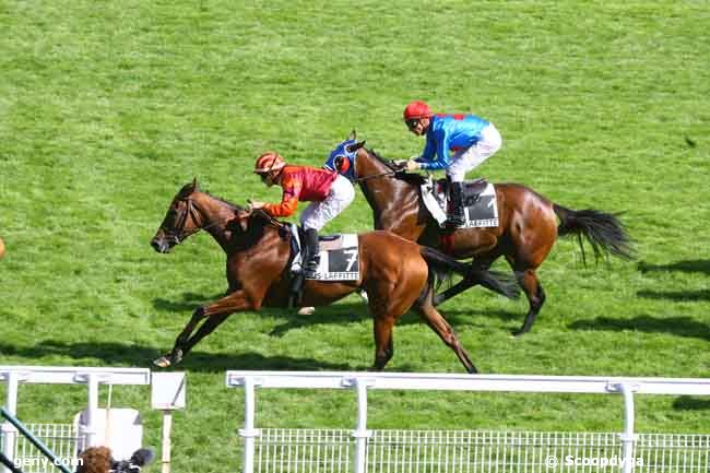 24/07/2011 - Maisons-Laffitte - Prix du Haras du Robillard : Arrivée