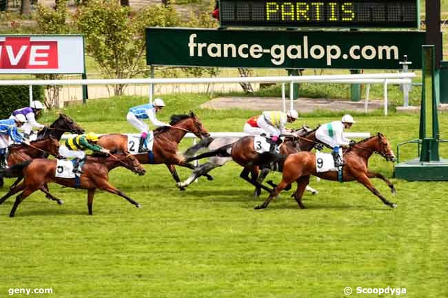 15/05/2013 - Saint-Cloud - Prix Barneveldt : Arrivée