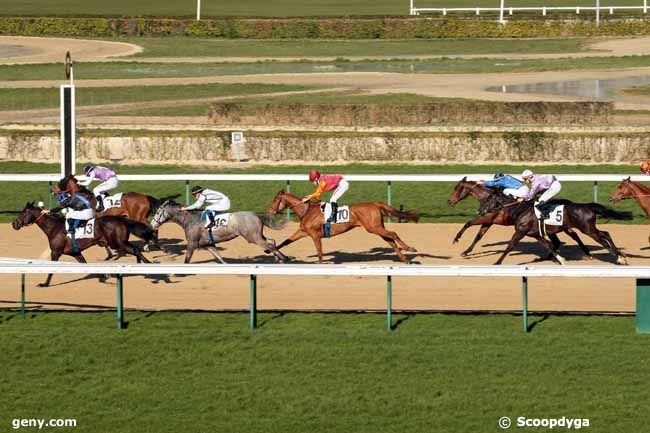 01/03/2014 - Deauville - Prix du Cap de la Hague : Arrivée