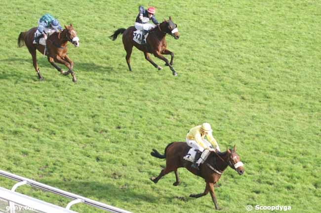 23/11/2014 - Auteuil - Prix François de Poncins : Result