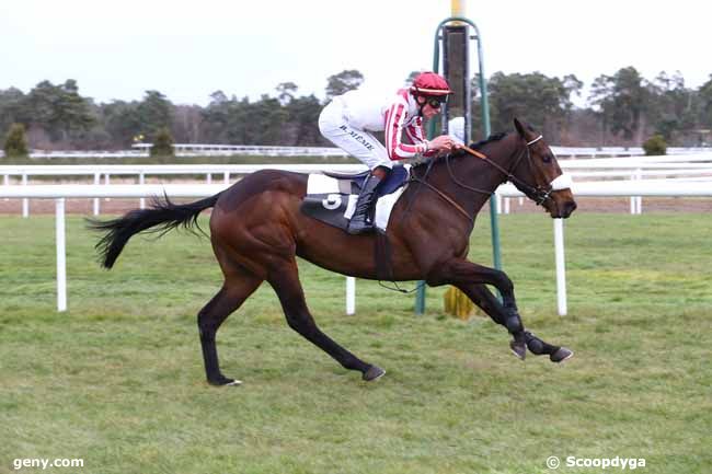 02/03/2016 - Fontainebleau - Prix des Heronnières : Result