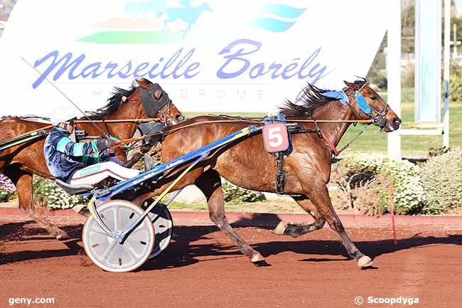 27/03/2019 - Marseille-Borély - Prix Docteur Yves Bachelier : Arrivée