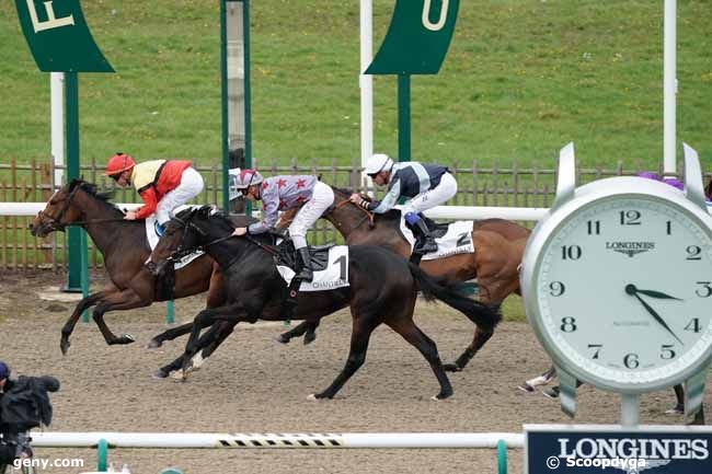 06/11/2019 - Chantilly - Prix de la Croix Saint-Rieuil : Arrivée