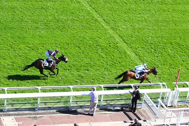 09/09/2020 - Auteuil - Prix Amati : Arrivée