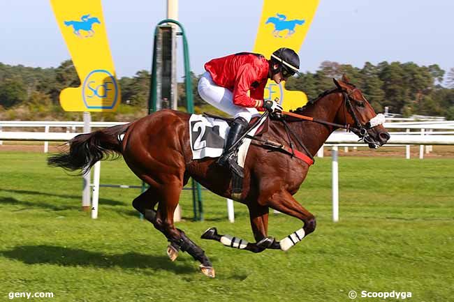 12/10/2021 - Fontainebleau - Prix de l'Ecole Militaire d'Equitation : Arrivée