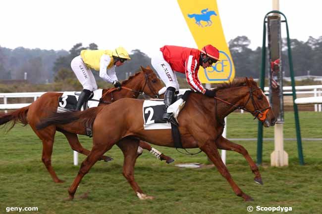 03/03/2022 - Fontainebleau - Prix Colonel Jean de Royer : Arrivée