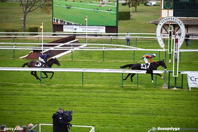 11/11/2022 - Compiègne - Prix Vatelys : Arrivée