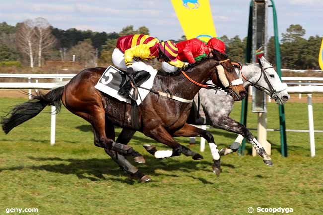 28/02/2023 - Fontainebleau - Prix du Mont Chauvet : Arrivée