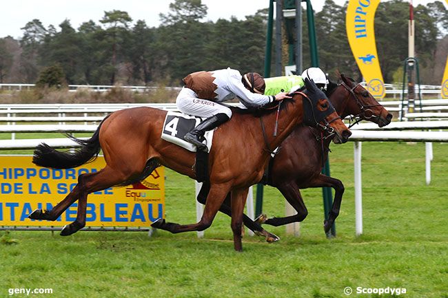 15/04/2023 - Fontainebleau - Prix Yves Saint-Martin : Arrivée