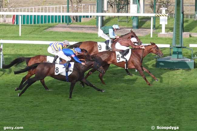 29/09/2023 - Saint-Cloud - Prix Dahlia - Fonds Européen de l'Elevage : Arrivée