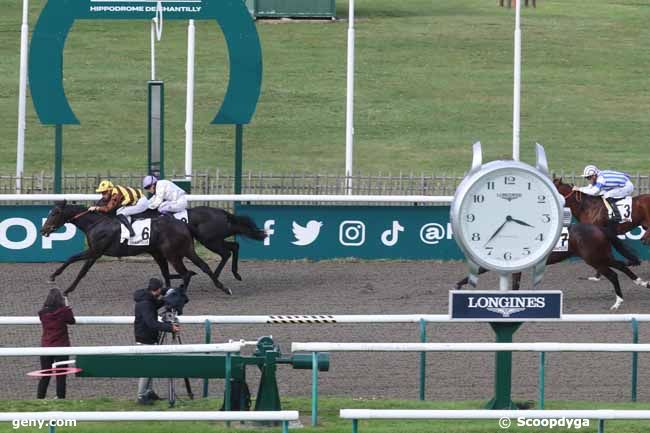 26/10/2023 - Chantilly - Prix de l'Enclos des Kangourous : Arrivée