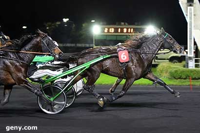 01/12/2023 - Vincennes - Prix Arsinoé : Arrivée