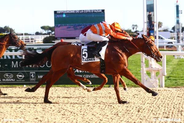 23/01/2024 - Cagnes-sur-Mer - Prix des Oliviers : Arrivée