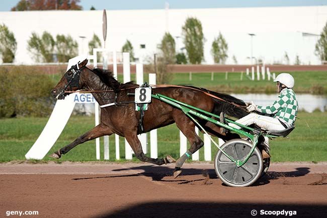 23/10/2024 - Agen-Le Passage - Prix de Beaumont-de-Lomagne : Arrivée