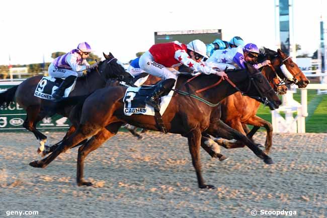 15/01/2025 - Cagnes-sur-Mer - Prix de la Croisette : Arrivée