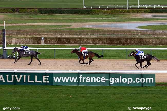 30/12/2009 - Deauville - Prix de la Pierre aux Fées : Ankunft