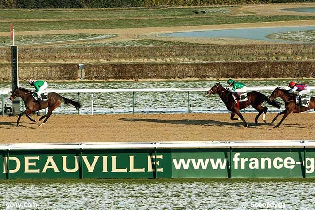 04/01/2010 - Deauville - Prix des Buissonnets : Arrivée