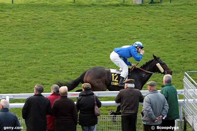 15/11/2010 - Compiègne - Prix d'autrêches : Ankunft