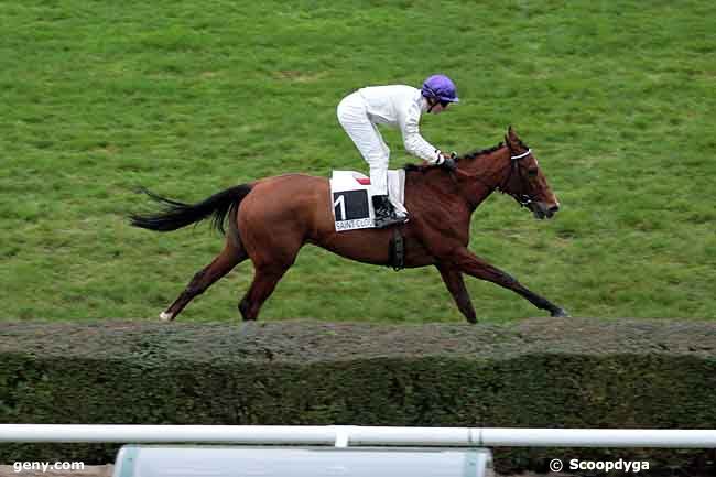 18/11/2010 - Saint-Cloud - Prix Belle Sicambre : Arrivée