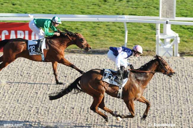 02/02/2011 - Cagnes-sur-Mer - Prix de la Vieille Chapelle : Arrivée