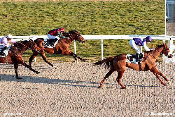 18/02/2012 - Cagnes-sur-Mer - Prix du Phare de la Garoupe : Result