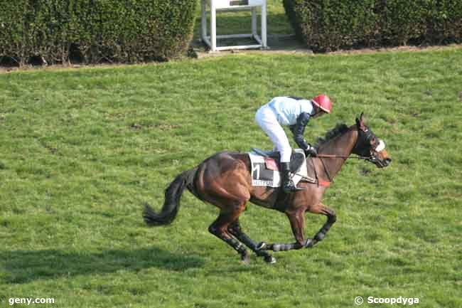 25/03/2012 - Auteuil - Prix Mitsouko III : Ankunft