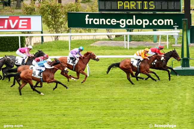 15/05/2013 - Saint-Cloud - Prix Cléopâtre : Arrivée