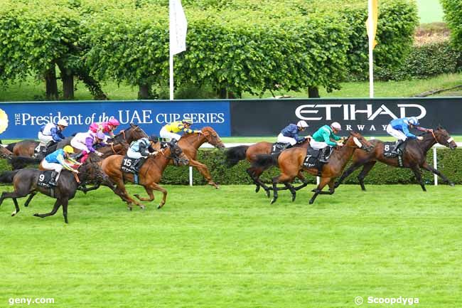 23/06/2013 - Saint-Cloud - Prix du Béarn (Prix Etihad Airways) : Arrivée