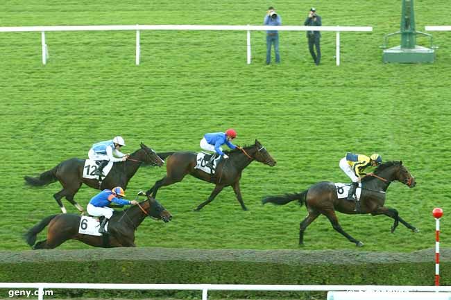 01/11/2015 - Saint-Cloud - Prix Perth : Ankunft