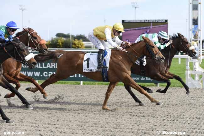 21/02/2018 - Cagnes-sur-Mer - Prix des Myrtes : Arrivée