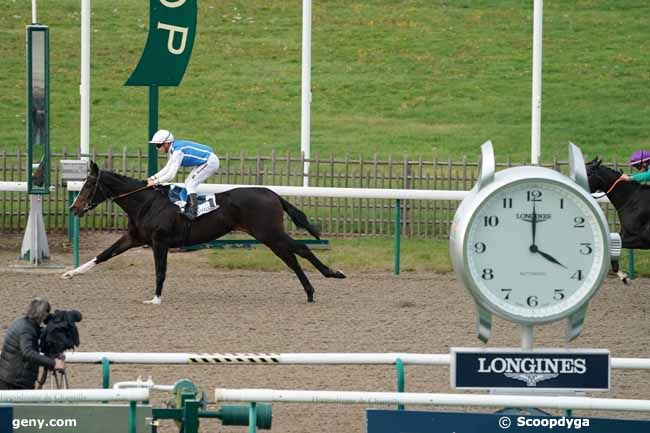 06/11/2019 - Chantilly - Prix du Parc à Moutons : Arrivée