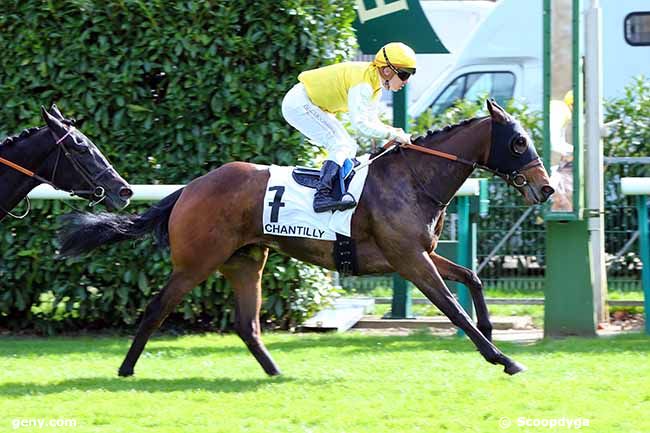 13/03/2020 - Chantilly - Prix Ronde de Nuit : Arrivée