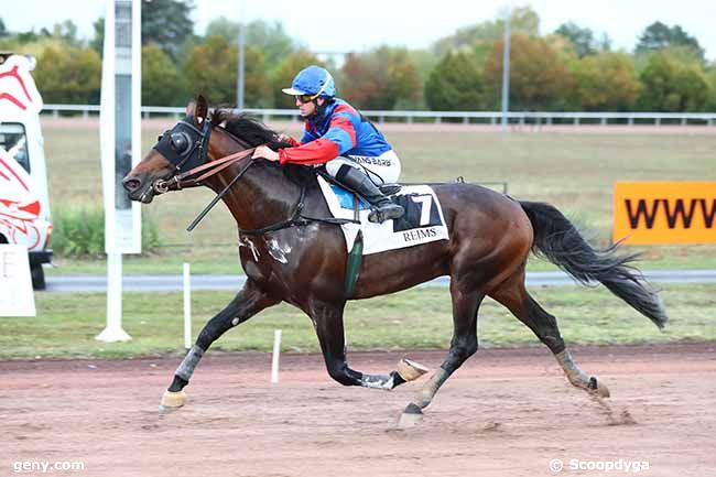 05/10/2020 - Reims - Prix de l'Hippodrome de Vesoul : Arrivée