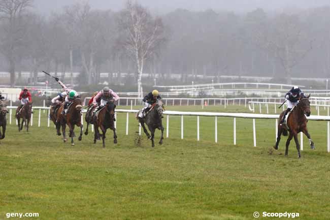 16/03/2021 - Fontainebleau - Prix de la Société des Courses du Pin : Arrivée