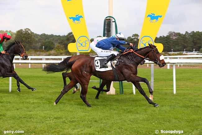 12/10/2021 - Fontainebleau - Prix de la Table du Roi : Arrivée