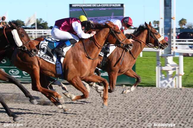 26/02/2022 - Cagnes-sur-Mer - Prix des Bouches-du-Rhône : Arrivée