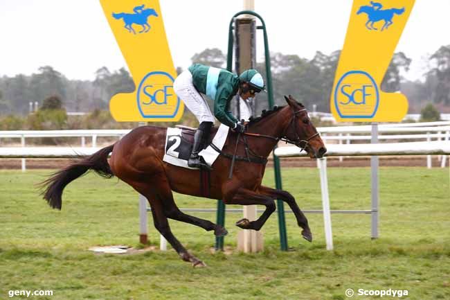 03/03/2022 - Fontainebleau - Prix des Daguets : Arrivée