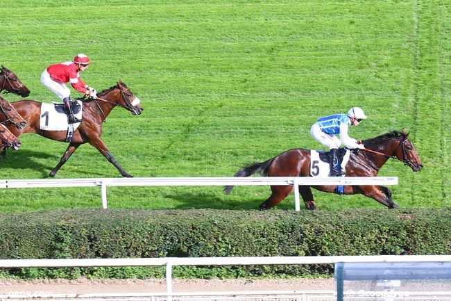 28/10/2022 - Saint-Cloud - Prix Bend'or : Ankunft