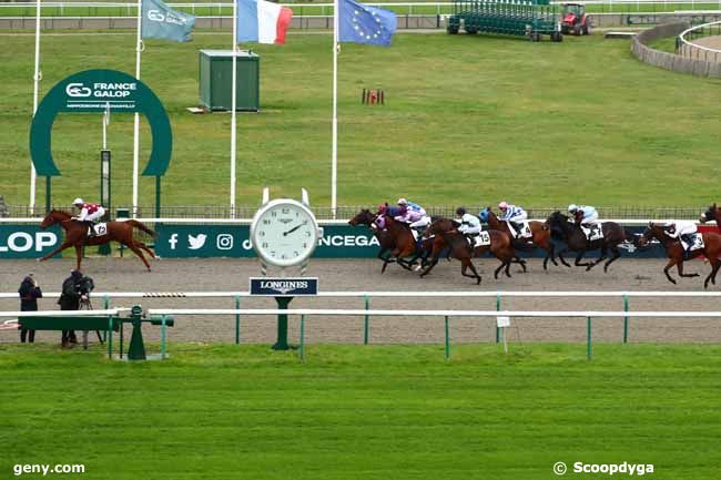 23/11/2023 - Chantilly - Prix de la Galerie de Psyche : Arrivée