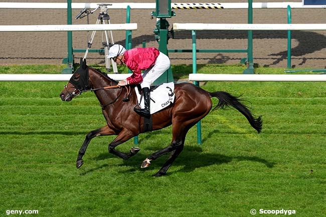 03/10/2024 - Chantilly - Prix du Cabinet des Gemmes : Ankunft