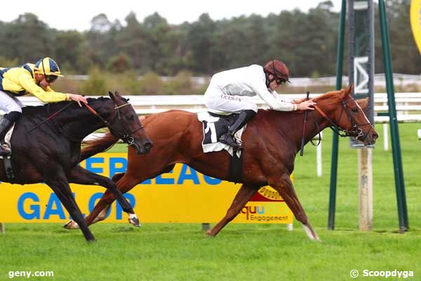 08/10/2024 - Fontainebleau - Prix de la Faisanderie : Arrivée